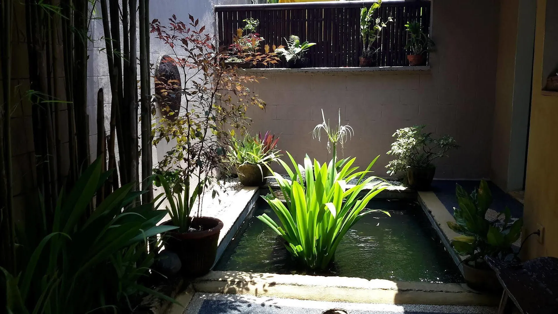 Villa Plawa Asri Seminyak